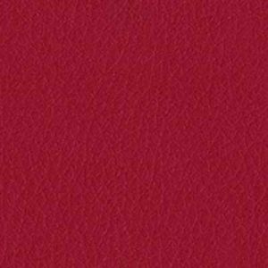 Contempo Vinyl Poppy.jpg